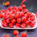 Wholesale High Quality Mini Eyeball Fruit Flavor 3D Popping Gummy Candy